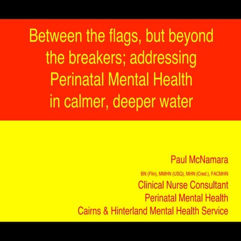 Between the flags, but beyond the breakers; addressing perinatal mental healt...