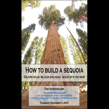 Acnl2015 tom heisterkamp-build a sequoia
