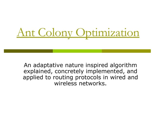 Ant Colony Algorithm