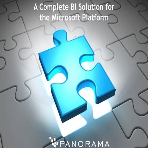 A complete bi solution for the microsoft platform adam mor panorama