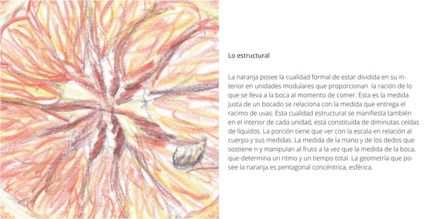 Relación Observación-Construcción