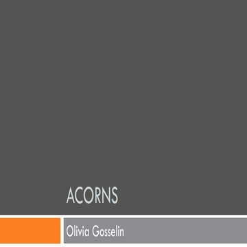 Acorns | PDF