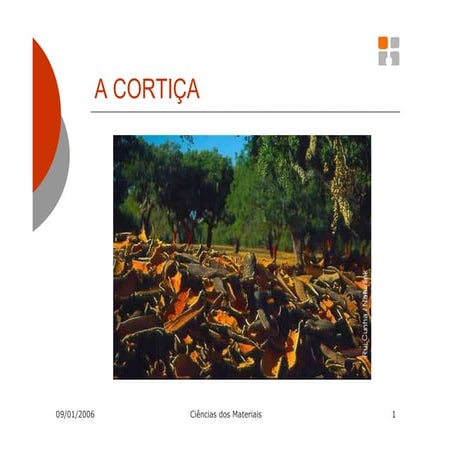 A cortiça (apresentação)