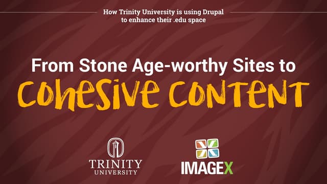 From Stone Age-worthy Sites to Cohesive Content: How Trinity University is Us...