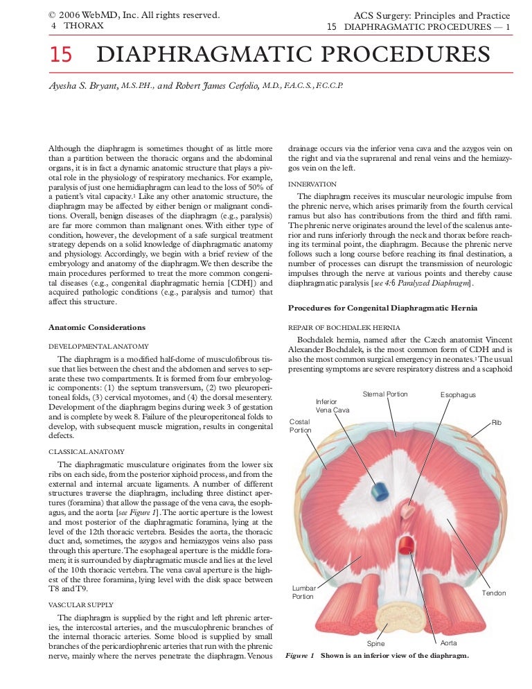 Acs0415 Diaphragmatic Procedures
