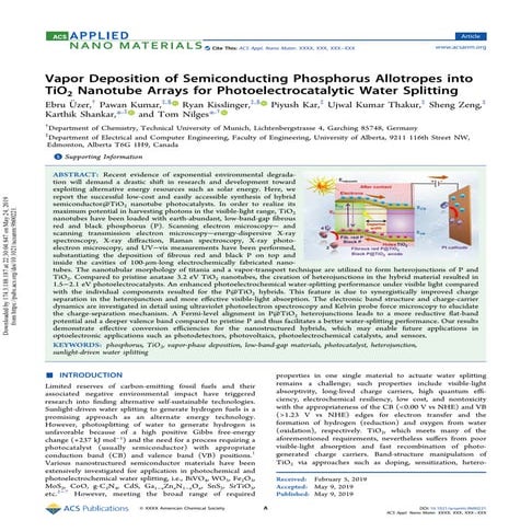 Vapor Deposition of Semiconducting Phosphorus Allotropes into TiO2 Nanotube A...