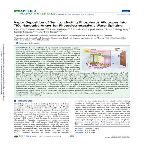 Vapor Deposition of Semiconducting Phosphorus Allotropes into TiO2 Nanotube A...