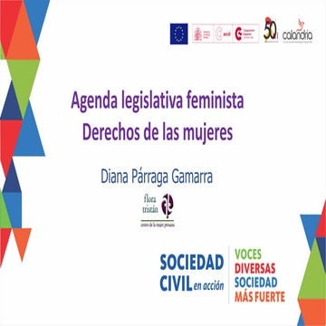 Agenda legislativa feminista - Derechos de las mujeres | PDF