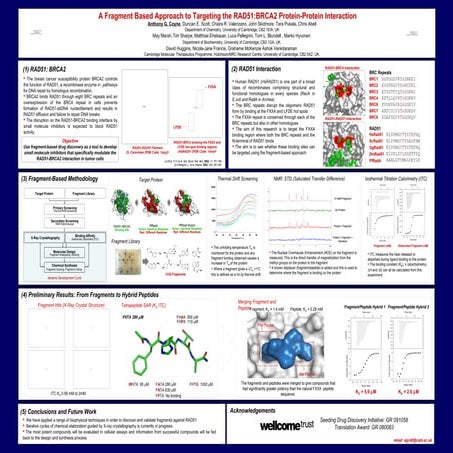 RAD51 Drug Discovery (ACS Denver 2011)