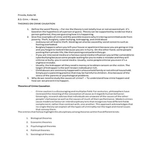Act - THEORIES ON CRIME CAUSATION.docx
