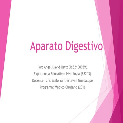 Act13_apartato_digestivo_AngelOrtiz.pptx