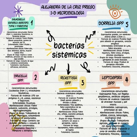 Comprehensive Overview of Systemic Bacterial Pathogens and Their ...