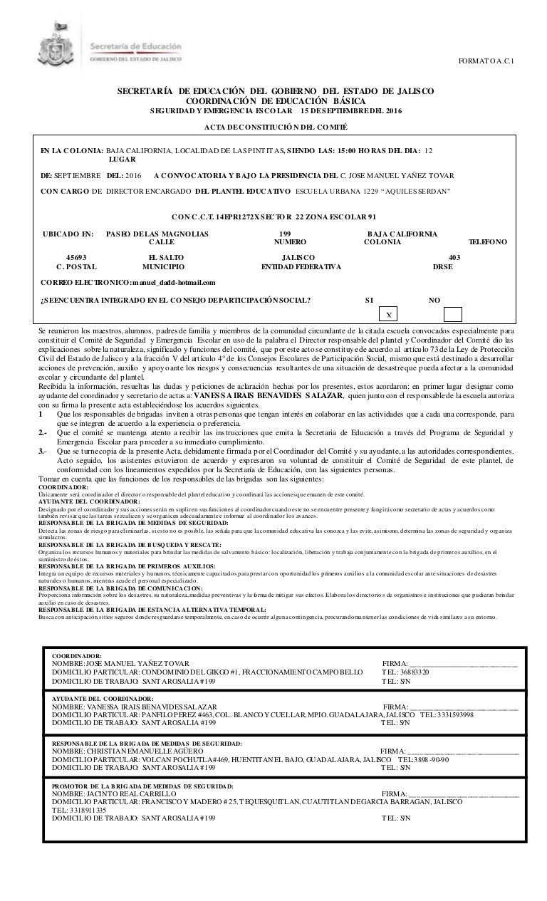 Acta De Constituci n del comit de seguridad y emergencia escolar 1 