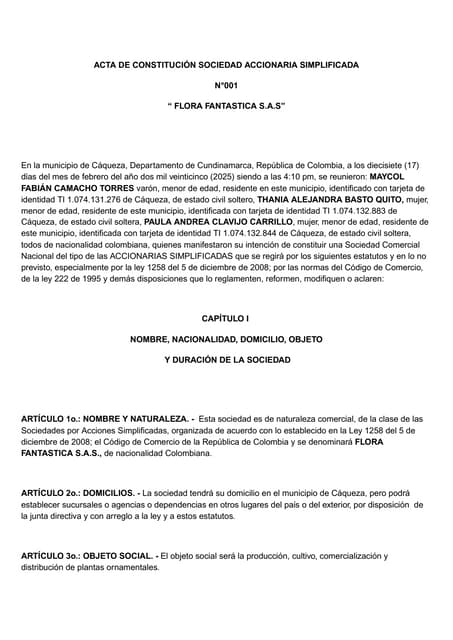 ACTA DE CONSTITUCIÓN SOCIEDAD ACCIONARIA SIMPLIFICADA.docx_20250611_090913_00...