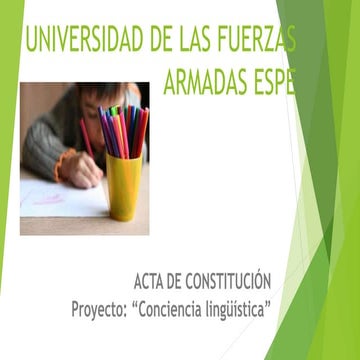 Acta de constitucion