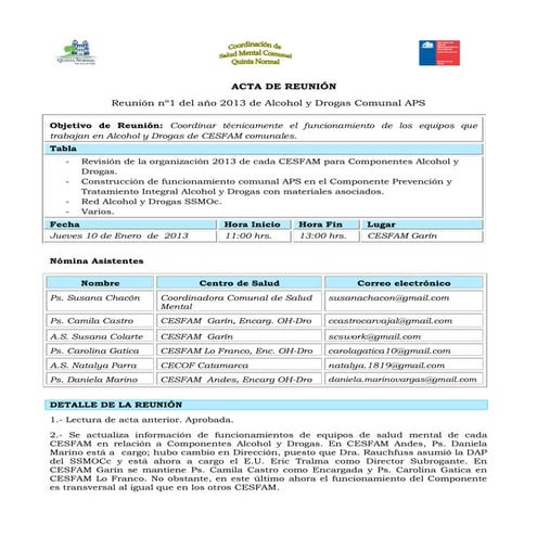 Acta n°1 de 2013 reunión  alcohol y drogas comunal aps