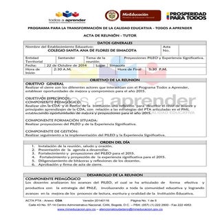 Acta proyecciones pileo y experieci...