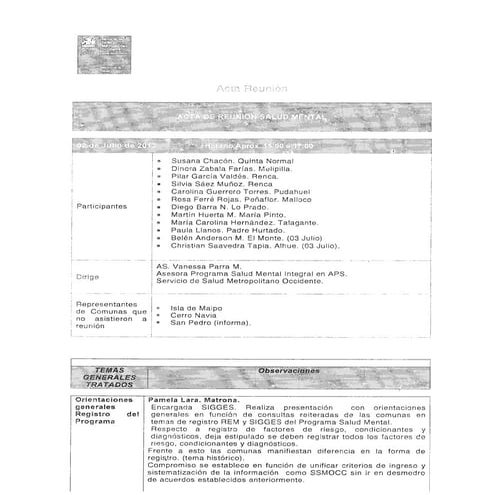 Acta Reunión Programa Salud Mental APS, SSMOc, 02 Julio 2013