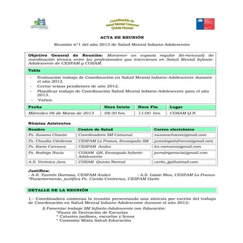 Acta Reunión n°1 2013 Salud Mental Infanto-Adolescente (Marzo)