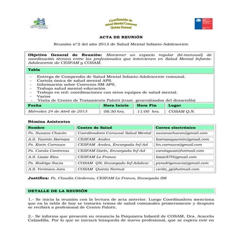 Acta Reunión n°2 de 2013 Salud Mental Infanto-Adolescente