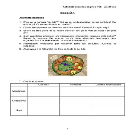 Activitats cèl·lula