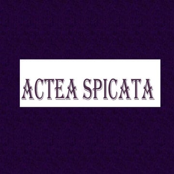 ACTEA SPICATA.BHMS.MATERIA MEDICA.HOMOEOPATHY