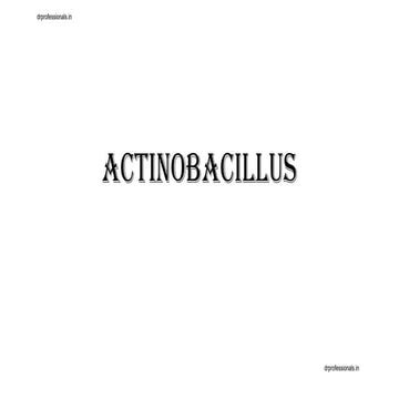 Actinobacillus, Haemophilus and Brucella.pdf