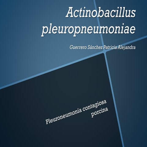 Actinobacillus pleuropneumoniae