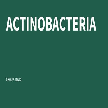 ACTINOBACTERIA-GRP1112.pdf