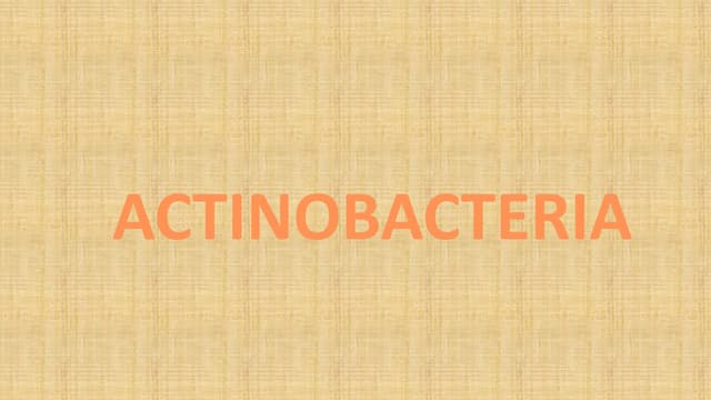 ACTINOBACTERIA OR ACTINOMYCETES WITH EARTHY SMELL.pdf