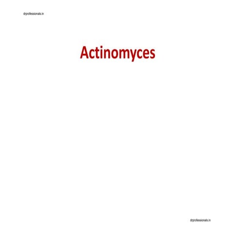 Actinomyces and Nocardia.pdf