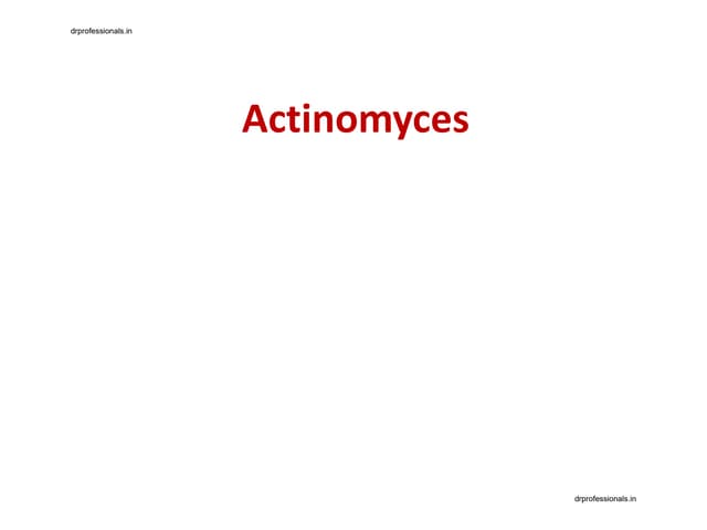 Actinomyces and Nocardia.pdf