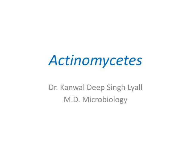 Actinomycetes