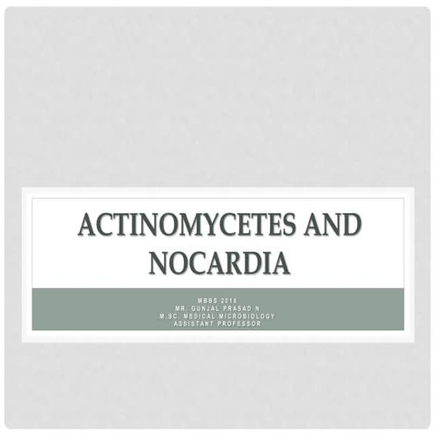 Actinomycetes and Nocardia