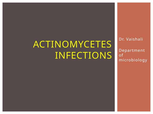 ACTINOMYCETES DMLT powerpoint presentation