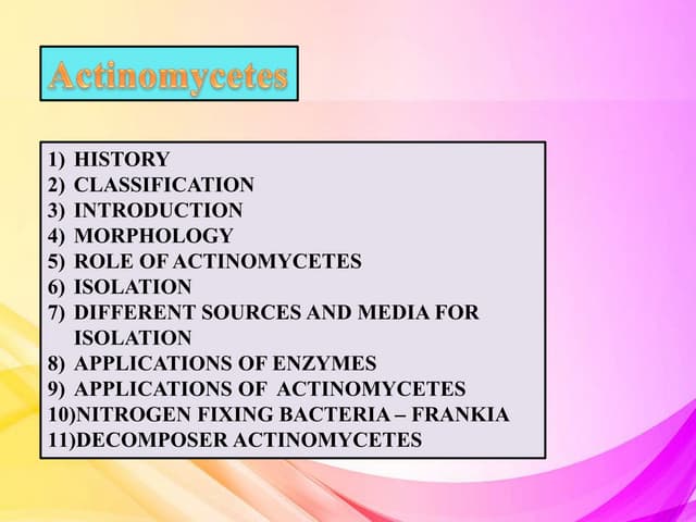 Actinomycetes