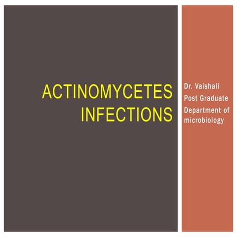 ACTINOMYCETES INFECTIONS.pptx