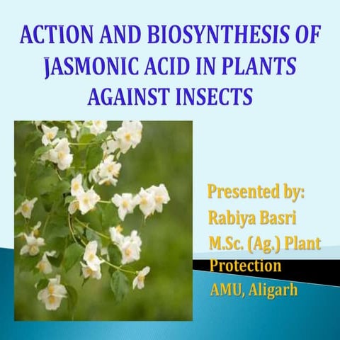 Action and biosynthesis of jasmonic acid