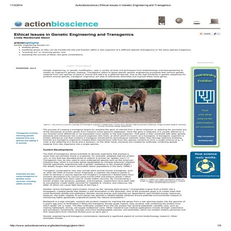 Ethical issues in genetic engineering and transgenics