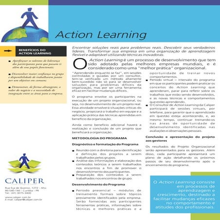 Action Learning | PDF