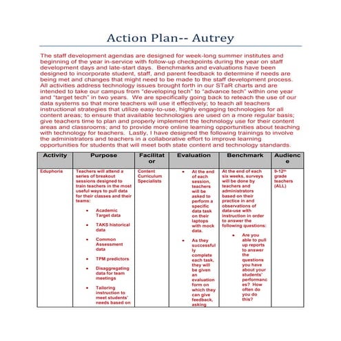 Action Plan Chart