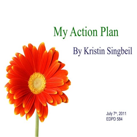 Action plan