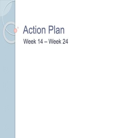 Action plan