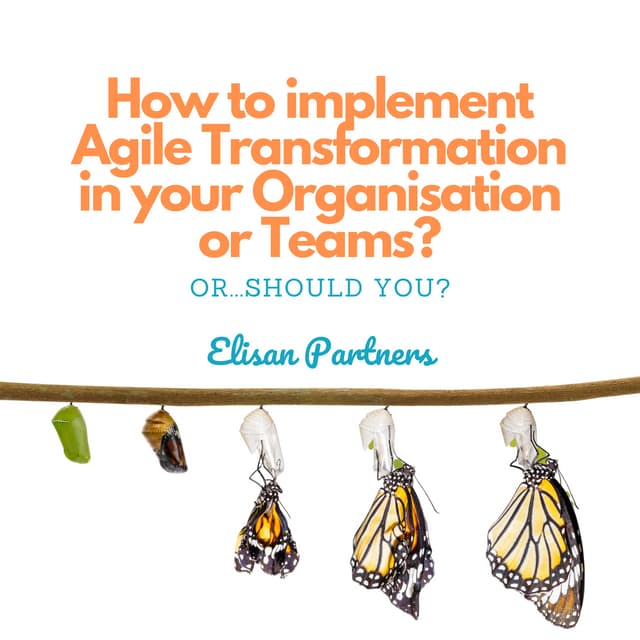 Action plan for managing business and organisational challenges with agility ...