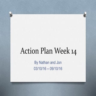 Action plan week 14