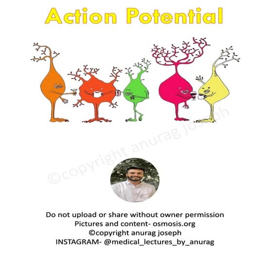Action potential