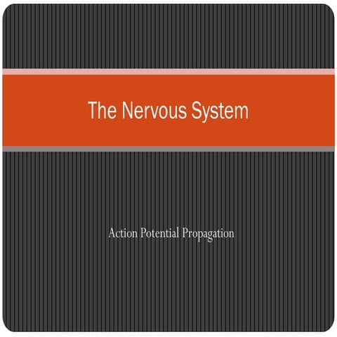 Action Potential (Chap-1) Last Lec.pdfAction Potential (Chap-1) Last Lec.pdfA...