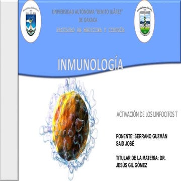 ACTIVACIÓN DE LOS LINFOCITOS T