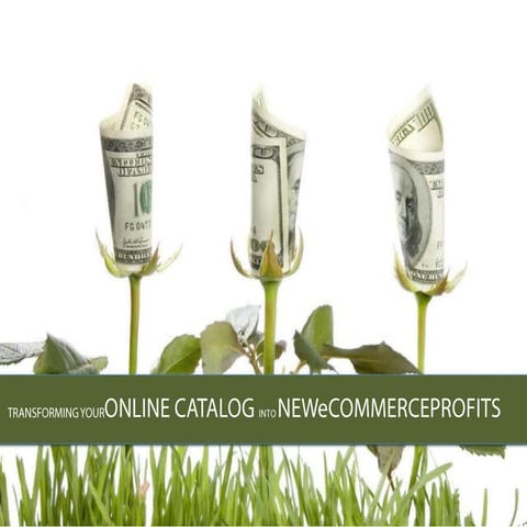 Transforming Your Online Catalog into New eCommerce Video Profits