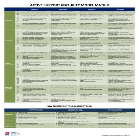 Active support-maturity-model